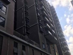 沙井最后一波全新村委統建樓【新橋花園二期】，停售
