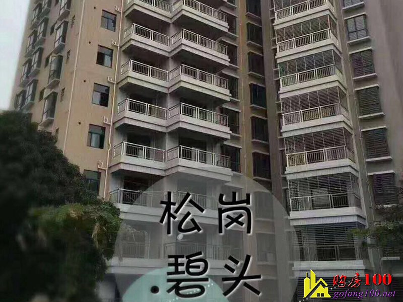 松崗【碧頭花園】11號(hào)地鐵線～碧頭站300米