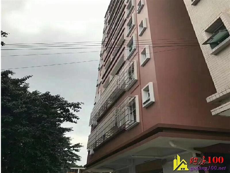 龍華高坳新村《天龍大廈》地鐵口 汽車站 超大陽(yáng)臺(tái) 8000起