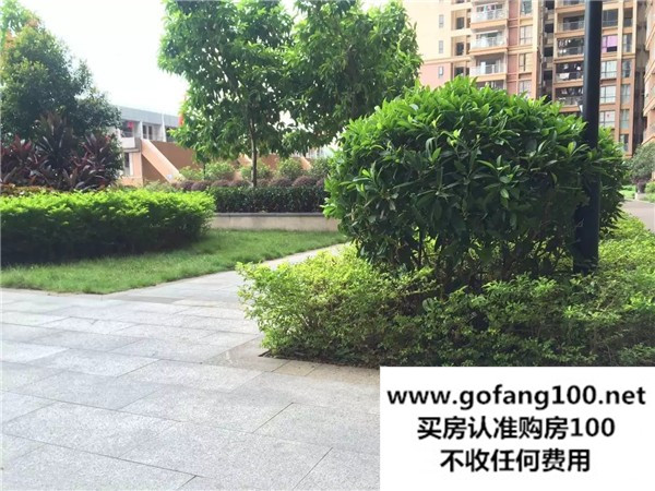 效果圖