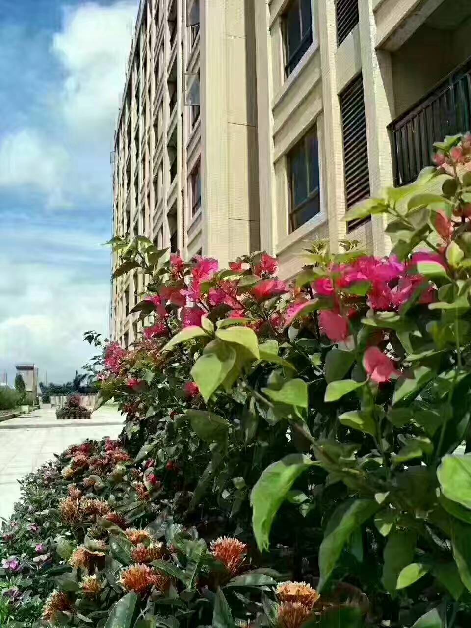 效果圖