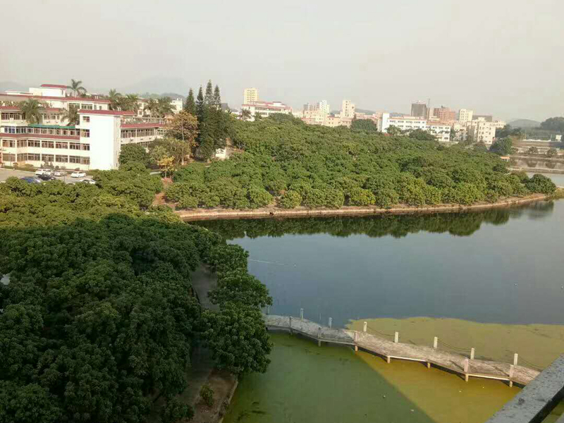 效果圖