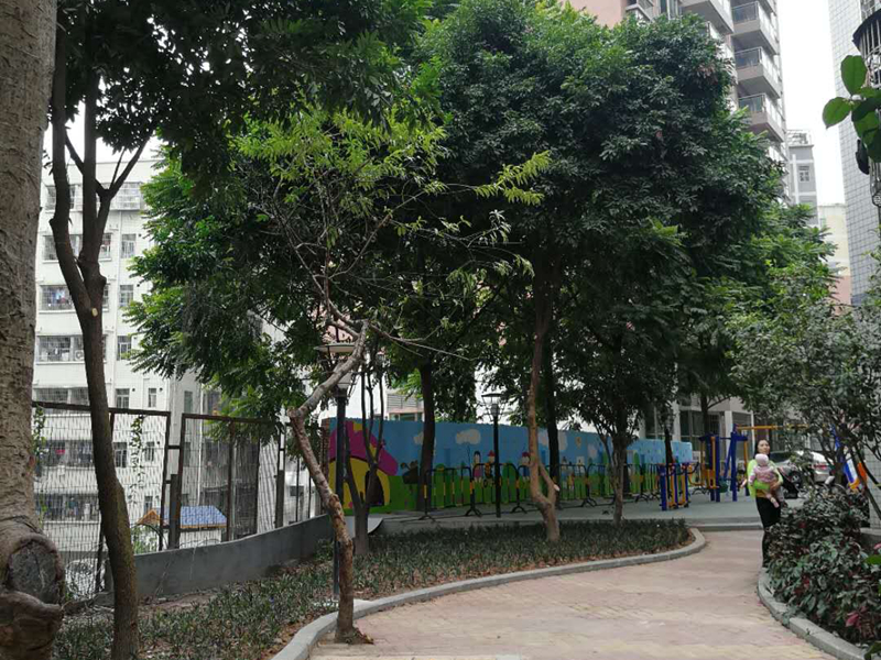 效果圖