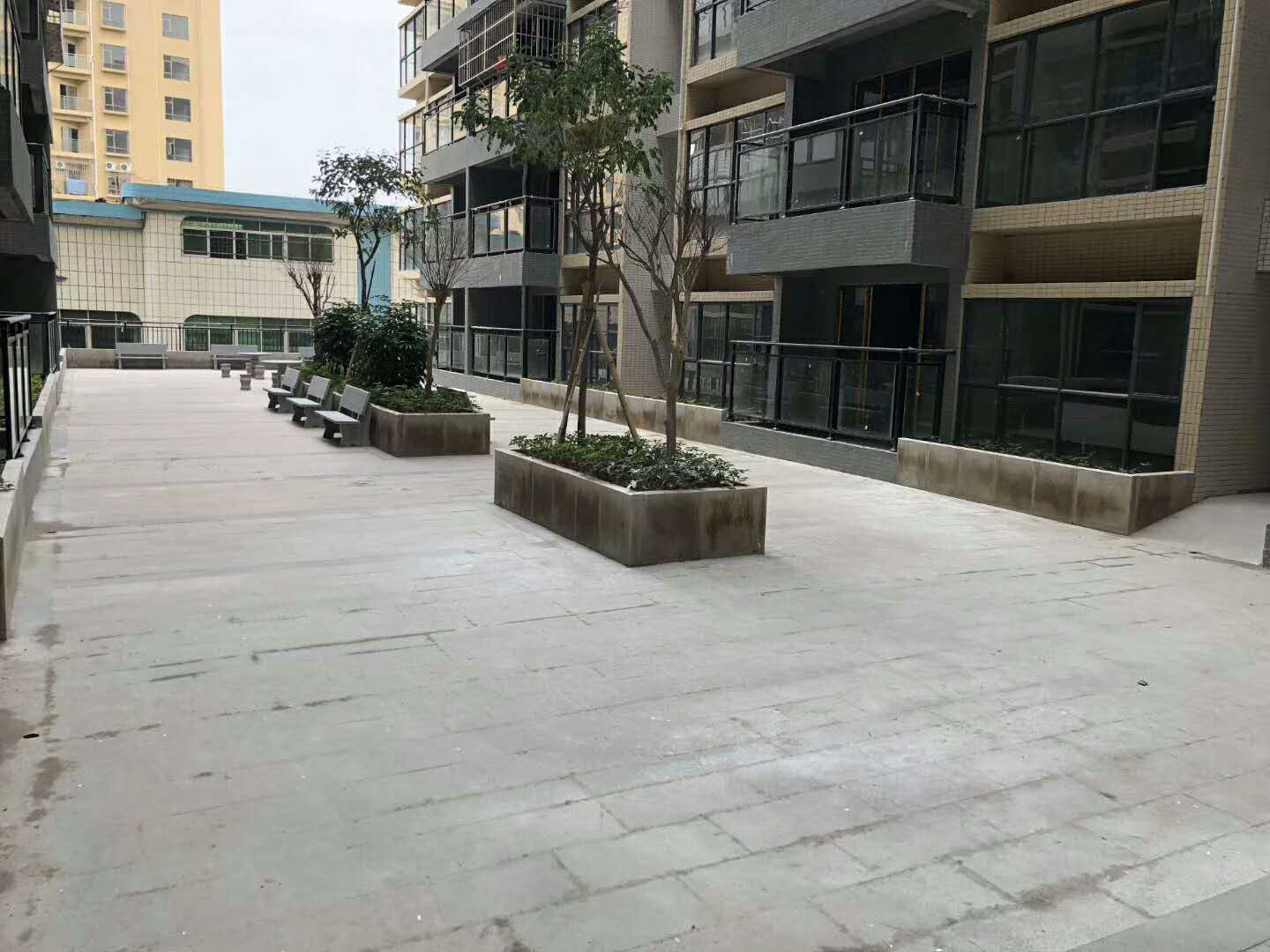 效果圖