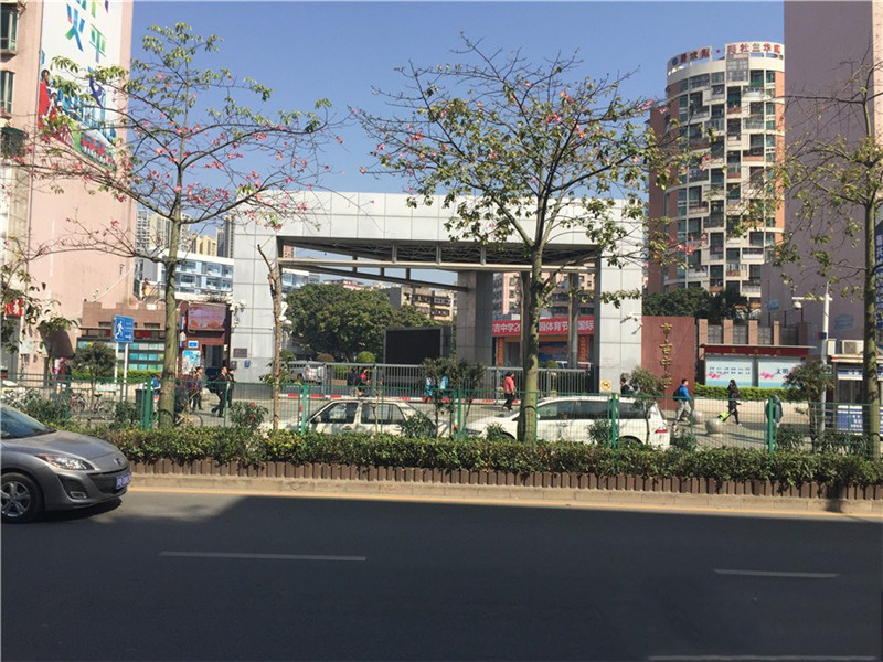 效果圖