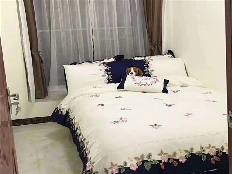 效果圖