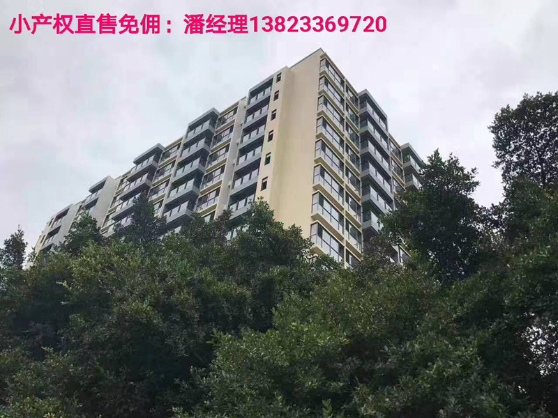效果圖