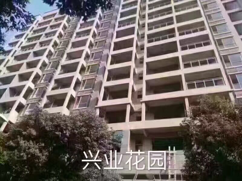 效果圖