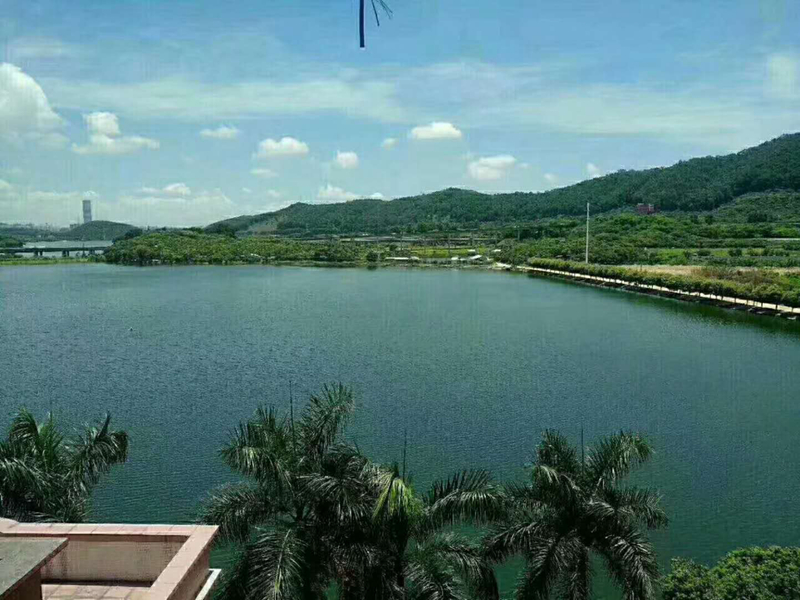效果圖