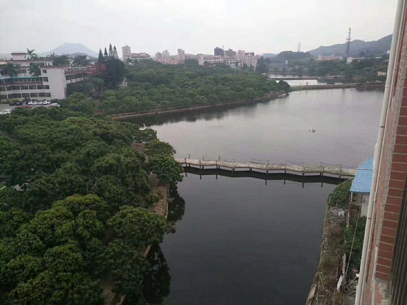 效果圖